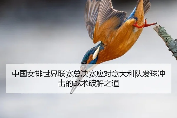 zhong-guo-nv-pai-shi-jie-lian-sai-zong-jue-sai-ying-dui-yi-da-li-dui-fa-qiu-chong-ji-de-zhan-shu-po-jie-zhi-dao-3-738.jpg