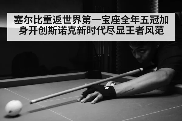 塞尔比重返世界第一宝座全年五冠加身开创斯诺克新时代尽显王者风范